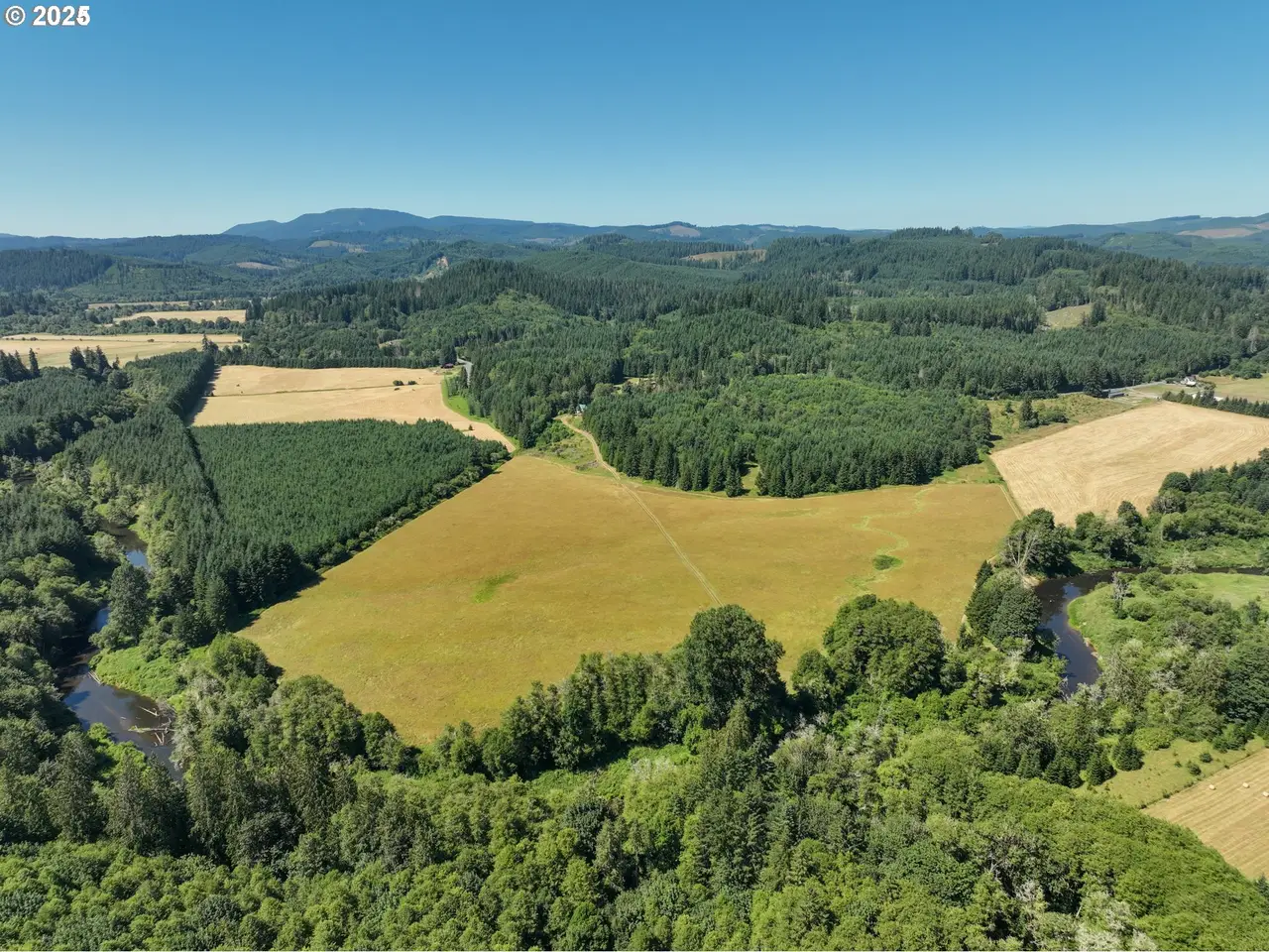 Large Image