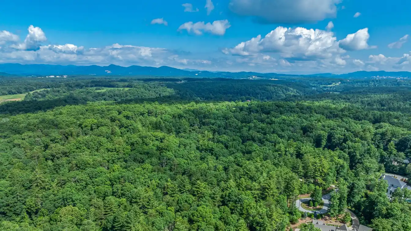 Rare Estate-sized Site Within the Ramble Biltmore Forest Community