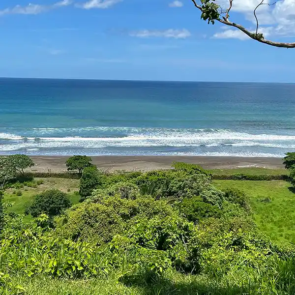 22 ACRES IN OSTIONAL