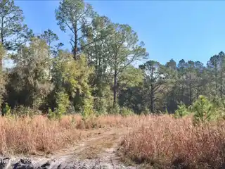42 Prime Acres