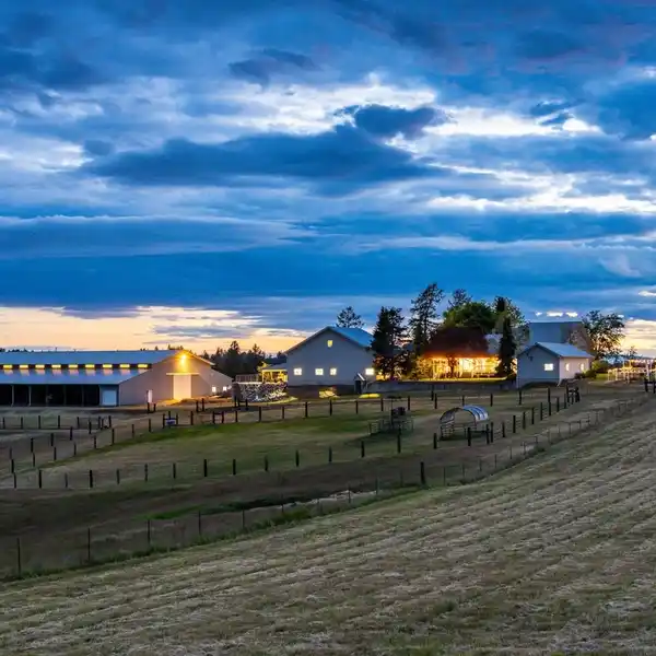 MODERN FARMHOUSE AND HORSEMAN'S PARADISE