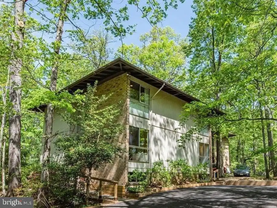 Mid-century Modern Gem with Tree-top Views