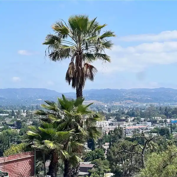 WEST HILLS VIEW HOME WITH ENDLESS POTENTIAL