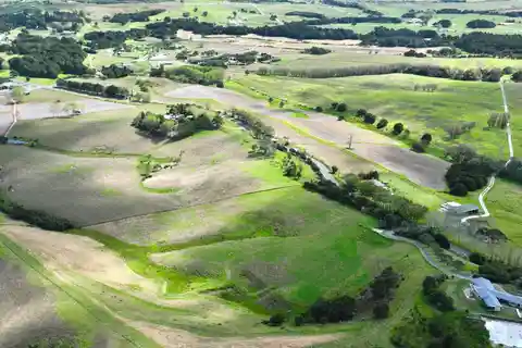 Unique 151-Hectare Farm