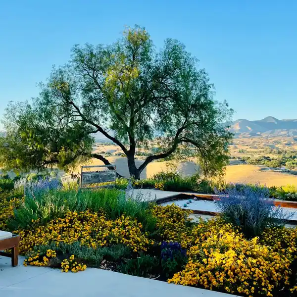 PEACEFUL 20-ACRE ESTATE