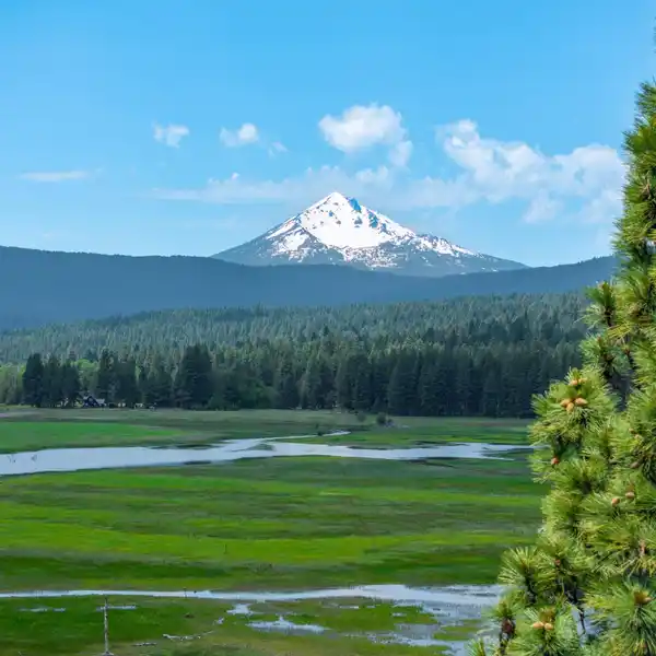 INCREDIBLE 82.95-ACRE PROPERTY
