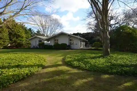 Newly Renovated Modern Oasis