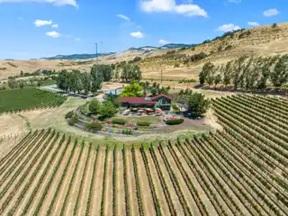 Dana Campbell Vineyards