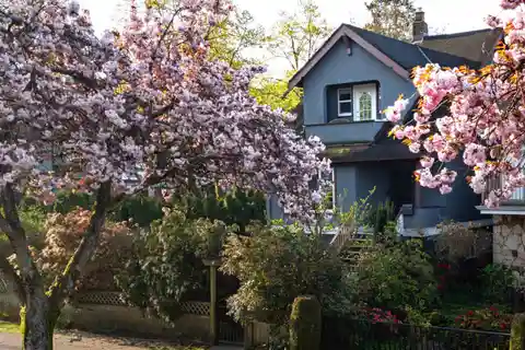 Beautiful Oversized Corner Lot