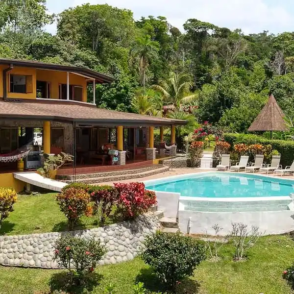 THE JUNGLE COMPOUND IN UVITA
