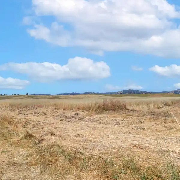 80.5 ACRES - PERFECT HOME LOCATION