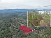 SECLUDED ACREAGE IN THE HEART OF BILTMORE FOREST