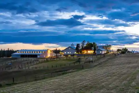 Modern Farmhouse and Horseman's Paradise