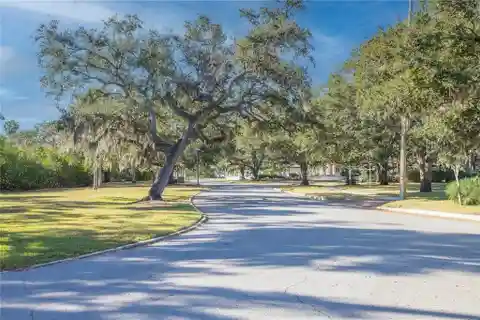 Magnificent Lot Awaits Personal Touch