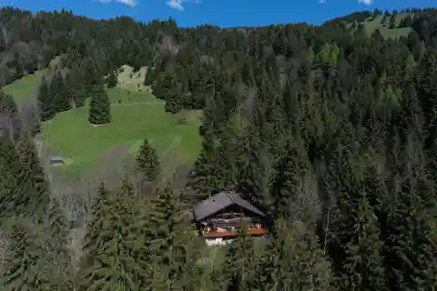 Secluded Alpine Retreat with Modern Comforts