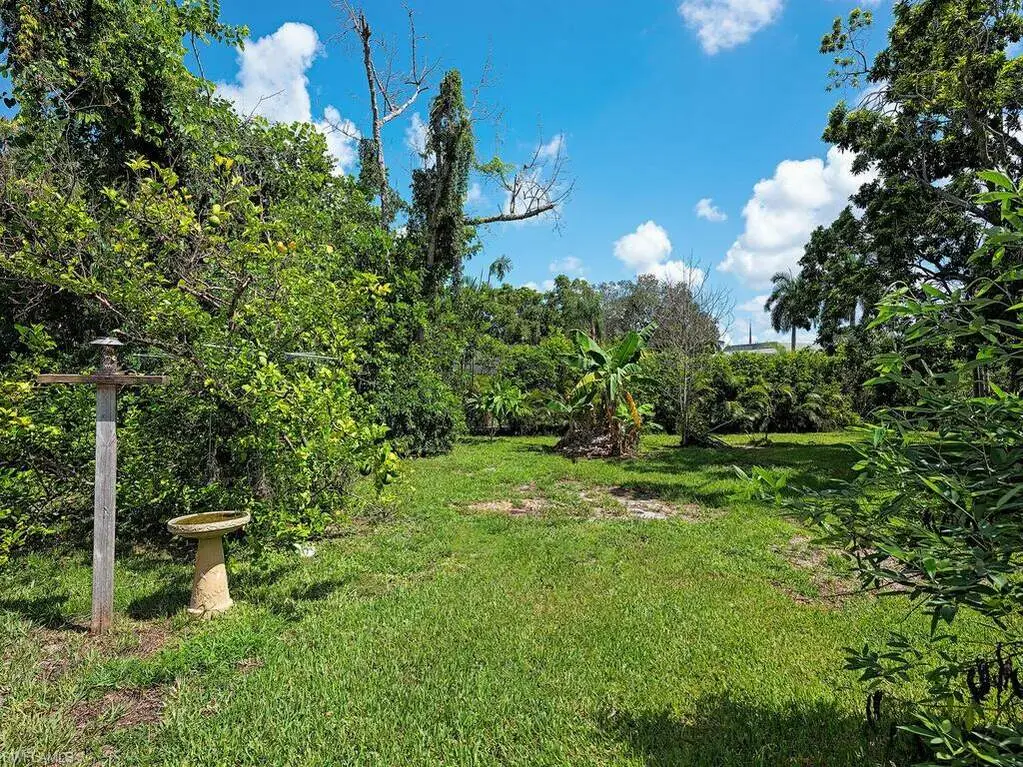 Large Image
