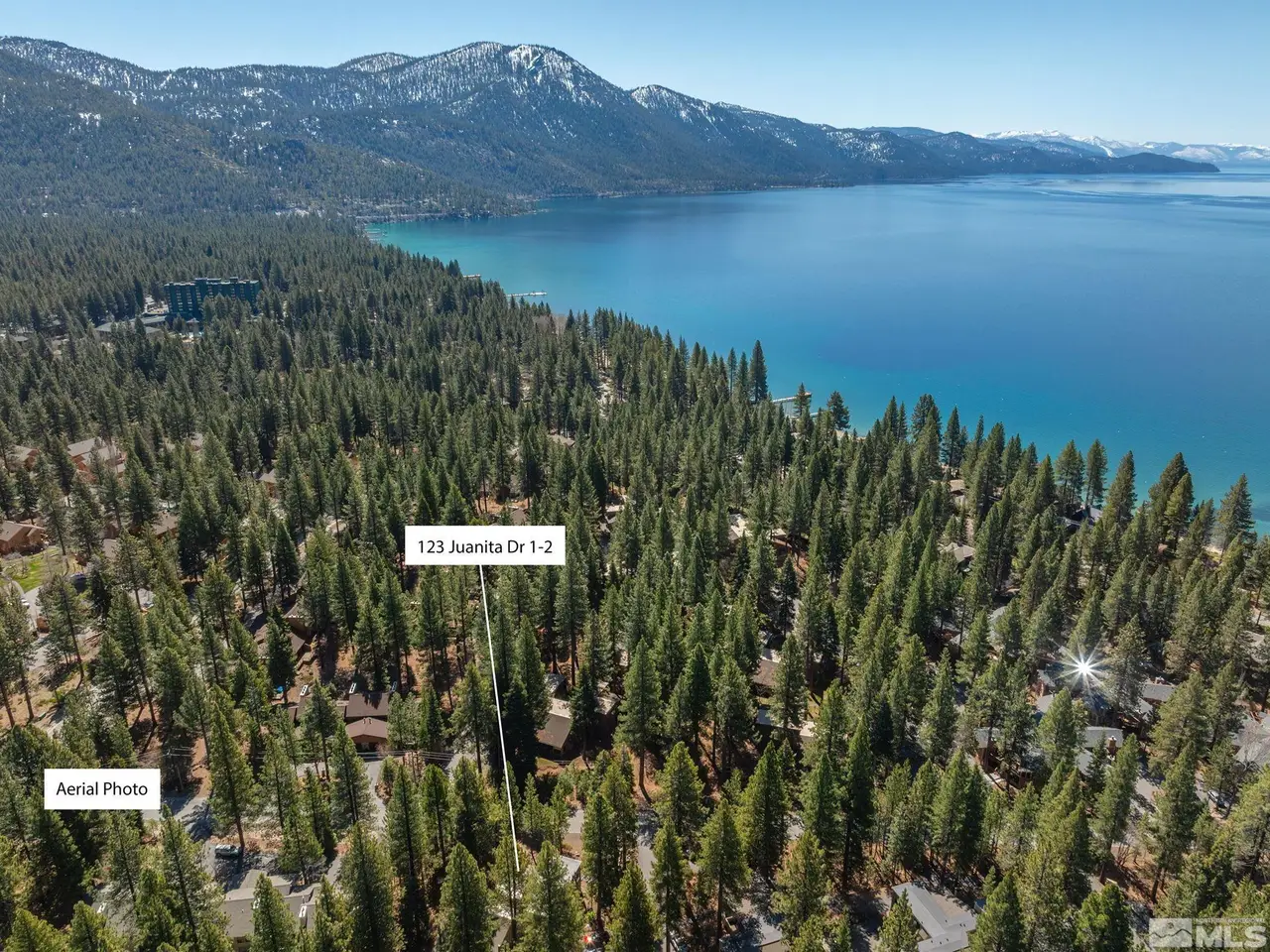 Large Image