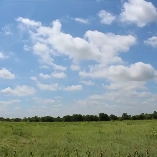83 ACRES WITH MULTIPLE HOME SITES