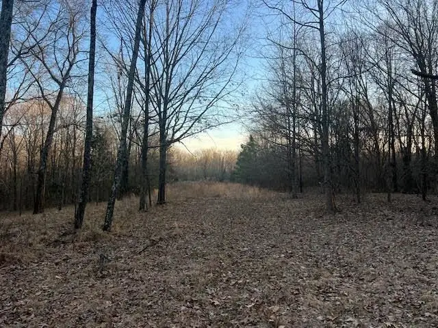 Small Image