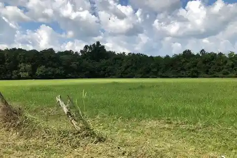 Gorgeous 3.57 Acres