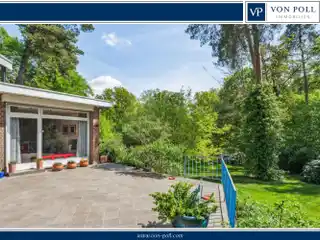 Jewel in a Prime Location Right by the Forest