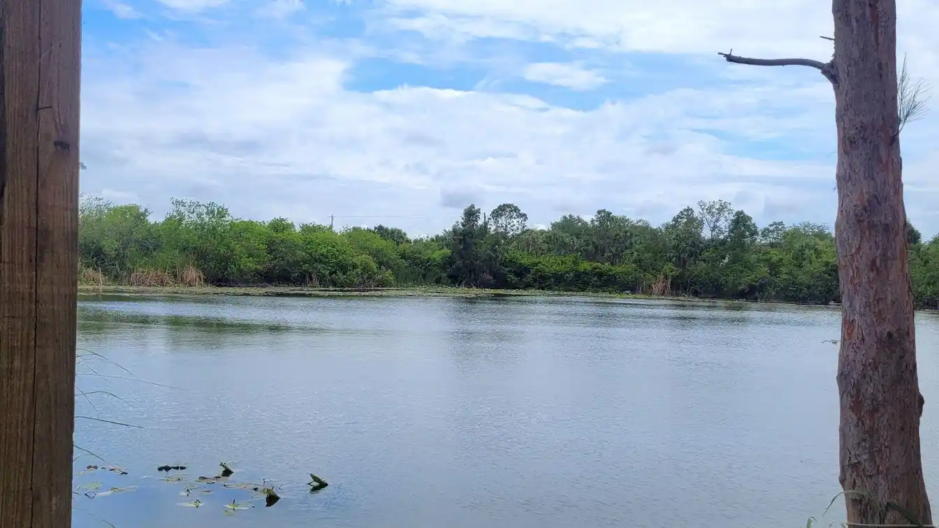 12 Acres with Incredible Potential