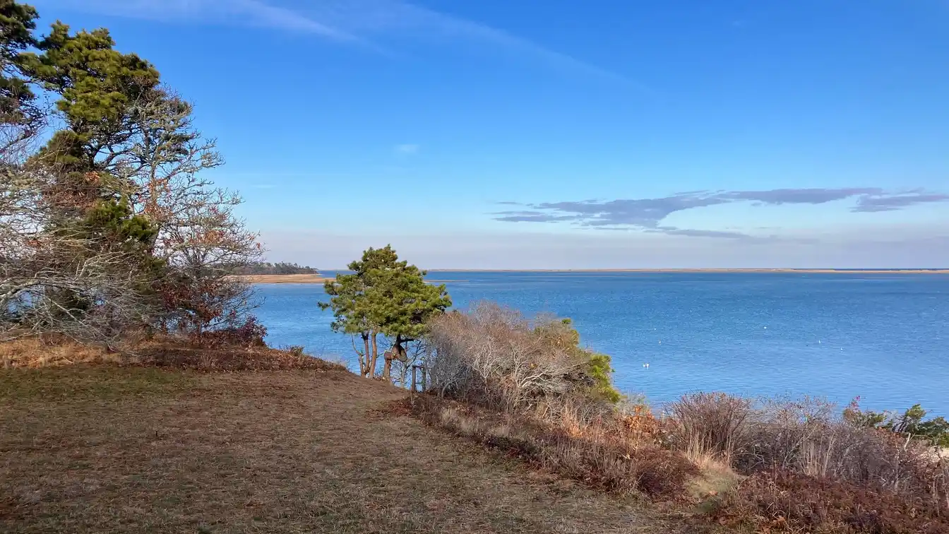 Private Oasis in North Chatham