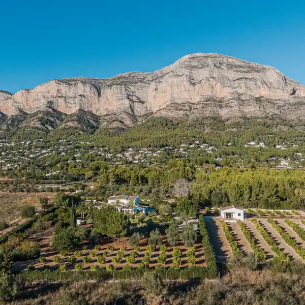 EXQUISITE MEDITERRANEAN VILLA SURROUNDED BY FRUIT GROVES