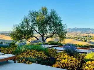 Peaceful 20-Acre Estate