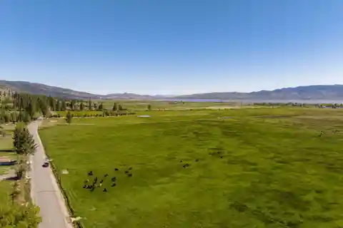 Over 35 Versatile Acres in Scenic Washoe Valley