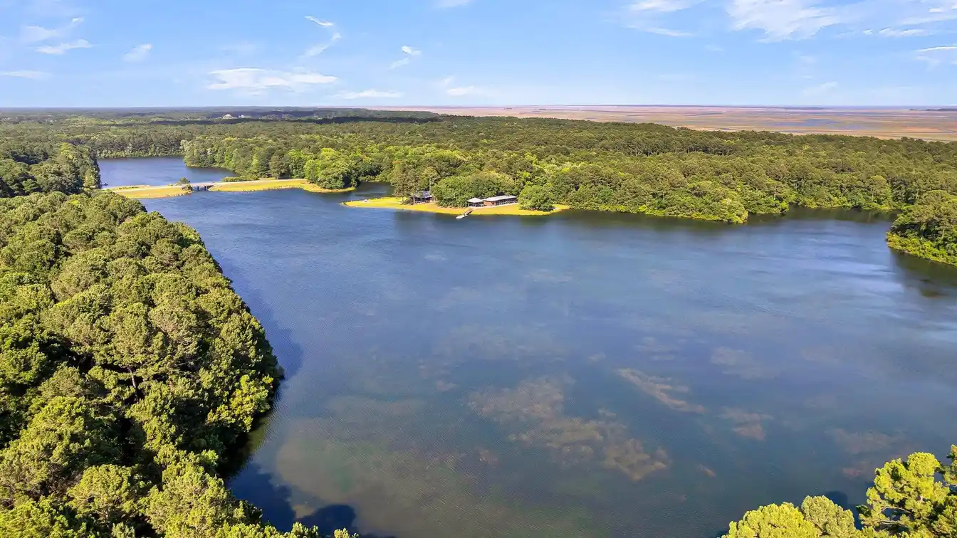 Build Your Dream Home in Sewee Preserve