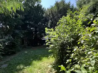 Create Your Eclectic Escape