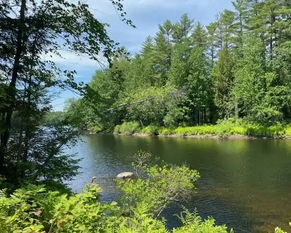 104 PRISTINE WOODED ACRES