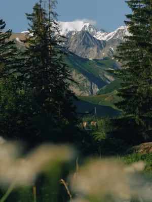 Mountain