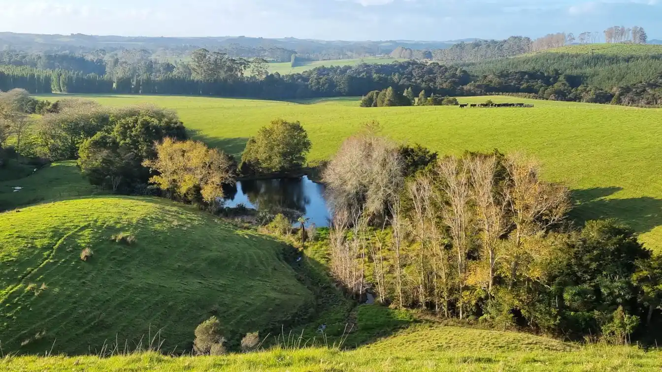 Come Build Your Dream Home on This Large Holding of 222 Acres