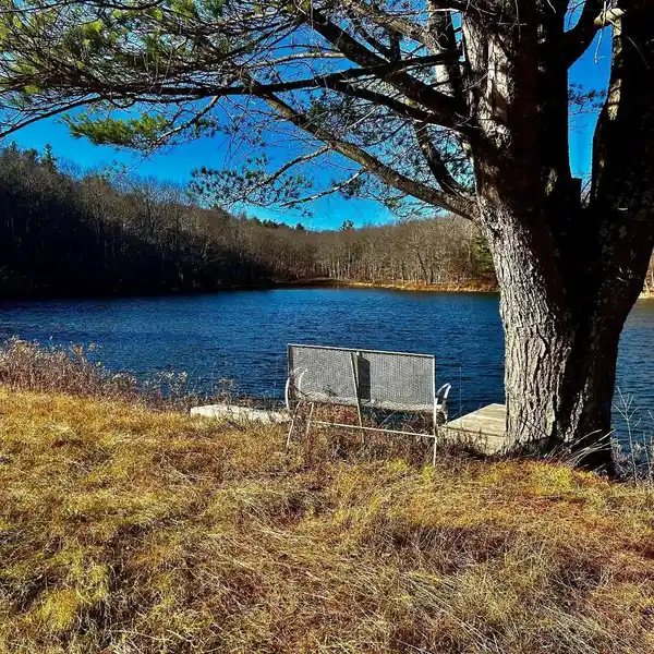 242 ACRES READY FOR COUNTRY LIVING