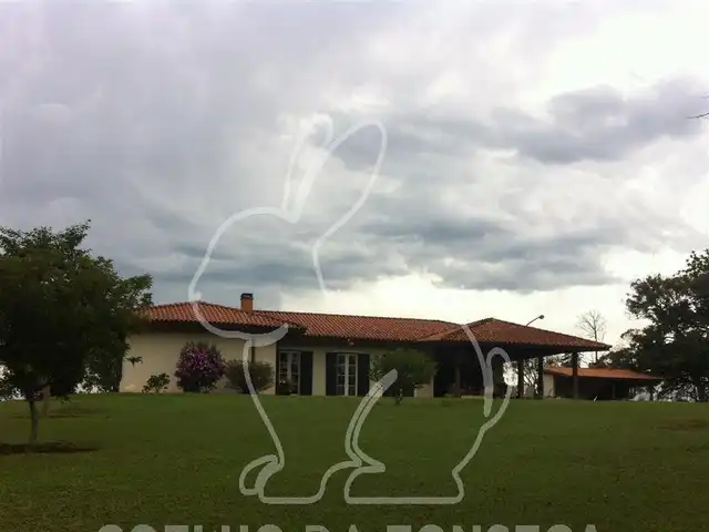Small Image