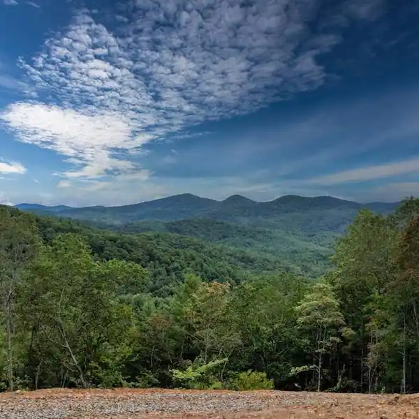 80-ACRE CREEKFRONT HAVEN NEAR TOCCOA RIVER