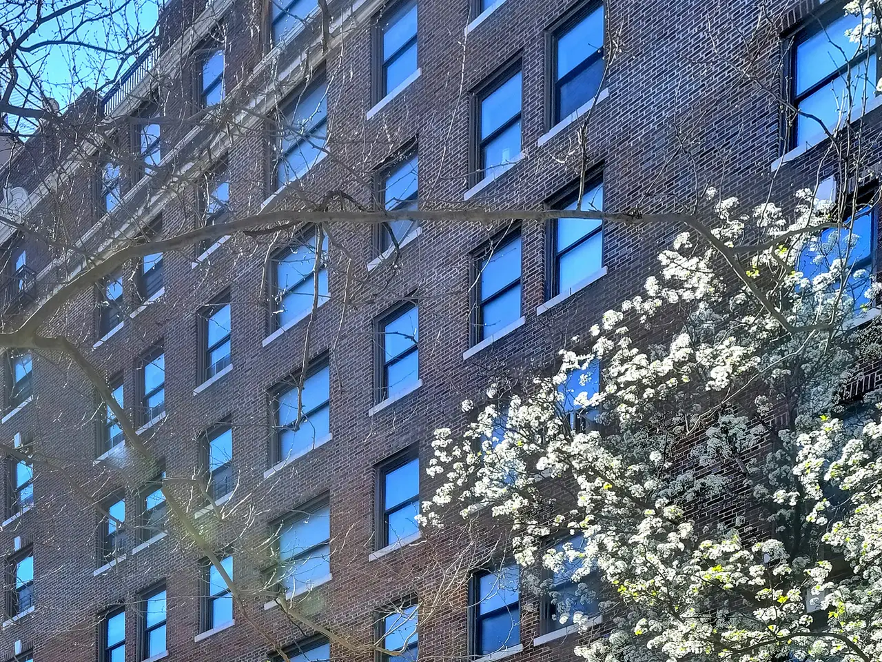 Large Image