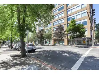 Elevated Urban Living