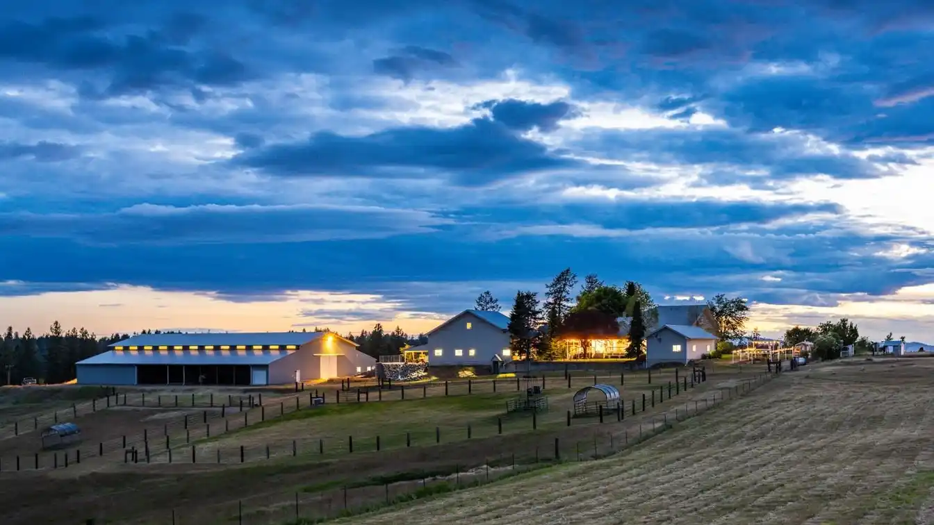Modern Farmhouse and Horseman's Paradise