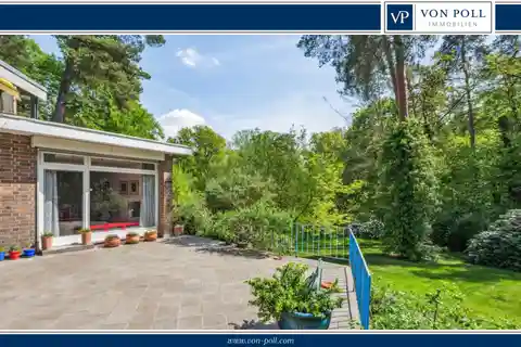 Jewel in a Prime Location Right by the Forest