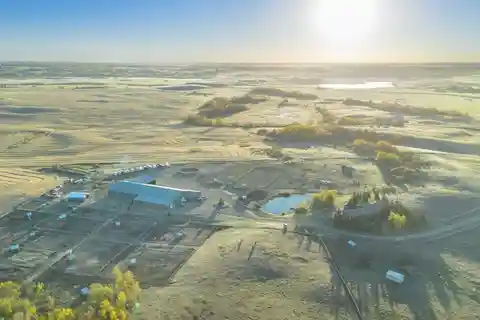 Purpose-Built Excellence for the True Horse Enthusiast