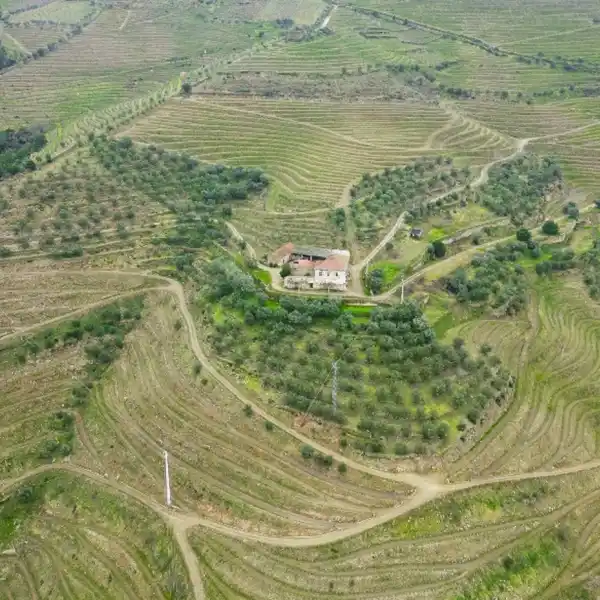 EXCEPTIONAL VINEYARD PROPERTY