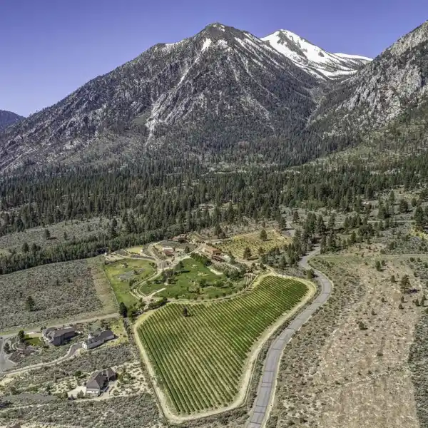 BEAUTIFULLY APPOINTED NEW CUSTOM HOME