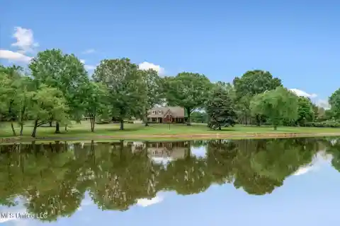 Mini Ranch Located in the Heart of Olive Branch