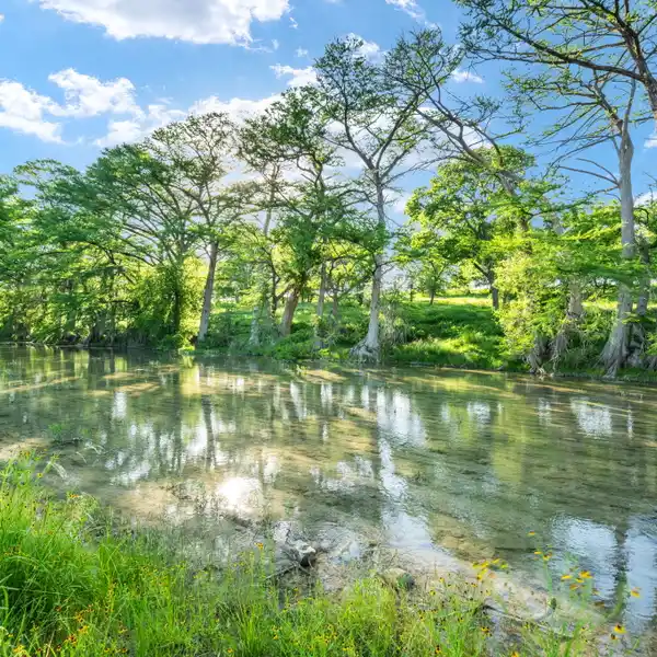 WONDERFUL 15.23-ACRE PROPERTY