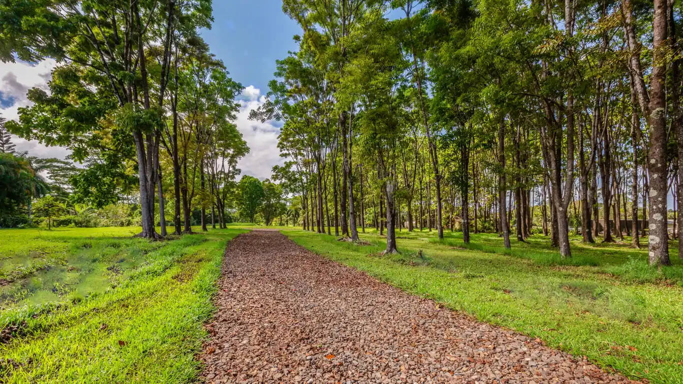 5.5 Acres in Exclusive Kalihiwai Ridge