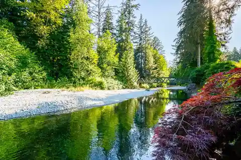 Amazing In-Town Riverfront Property