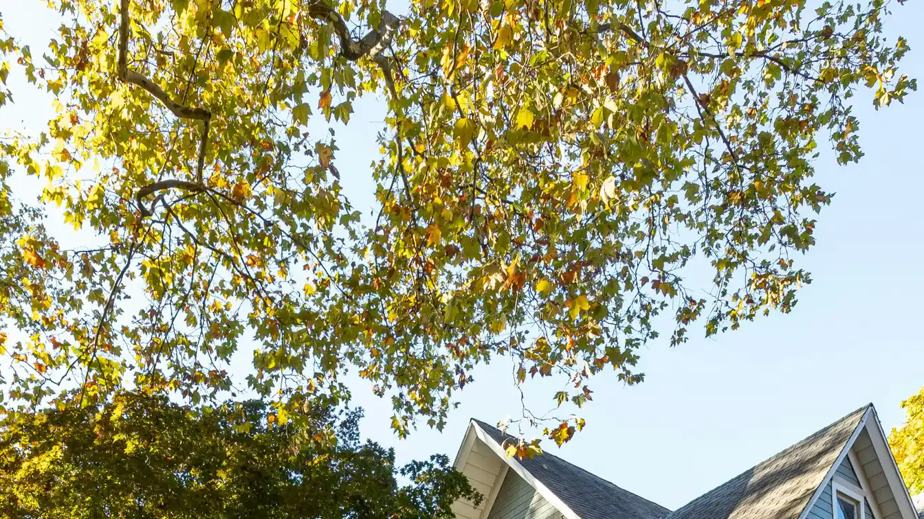Create Your Dream Home on a Large Lot